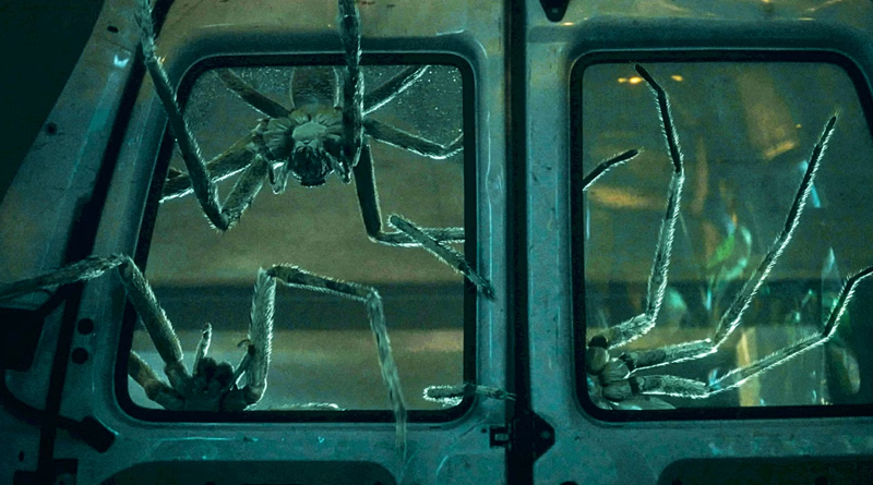 10 de horror: Insectos y arácnidos